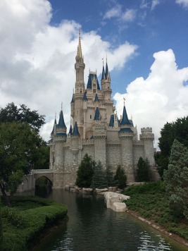 Magic Kingdom-Castle